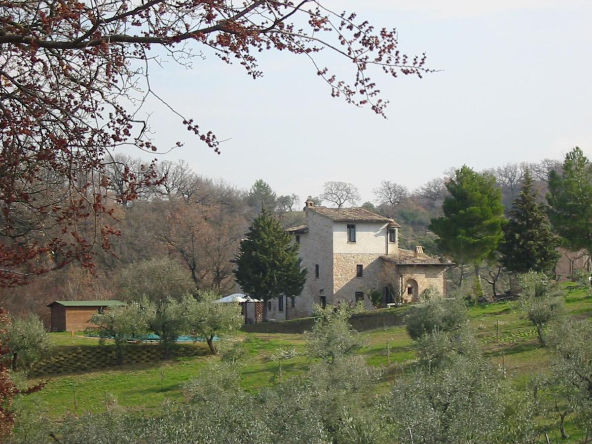 Girasole - Agriturismo Fogliani Giano dellʼUmbria エクステリア 写真